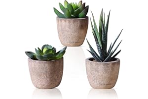 SEASBOES 3 Pezzi Piante Artificiali in Vaso, Piante Succulente Artificiali Verdi, Mini Bonsai con Vaso False Serie in Vaso per Interni/Esterni/Soggiorno/Ufficio, Decorazione della Casa (B)