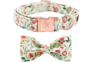 Elegant Little Tail Bowtie Collar - Comfortable Adjustable for Small to Large Dogs and Cats