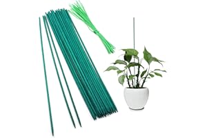 SAVITA 30 Piezas Palitos de Soporte para Plantas Estacas de Madera con 30 Piezas Lazo para Plantas Palitos de Bambú Verde para Ramo Planta en Maceta Estaca para Plantas Pequeñas, 38 cm