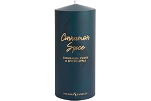 Shearer Candles 6-Inch "Cinnamon Spice" Scented Pillar Candle, Teal, Packaging may vary