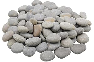 Thapncow 40 Piezas Pintar Rocas, Juego de Piedras Planas para Pintar, Piedras para Pintar de Roca, Guijarros De Playa para Manualidades