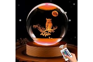 GINSSO Owl Gifts for Women, 3.15in 3D Owl Figurine Crystal Ball Lamp with Remote Control, Owl Decor for Bedroom, Birthday Christmas Owls Gifts for Kids Girls Boys Women