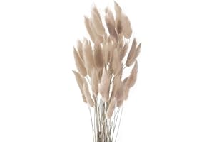 AILOVONE Pampasgras Trockenblumen 50 Stück Elegantes Pampasgras Deko Natürlich Blumenstrauß Flauschiges Getrocknete Blumen Herbst Boho Deko für Hochzeit Büro Schlafzimmer Wohnzimme (Grauer Kaffee)