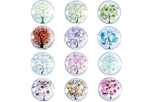 GEFIRE 12 Piezas Imanes Nevera Originales, Imanes Nevera, Iman Nevera, Imanes Nevera Niños, Iman para Pizarras Blancas, Tablones de Anuncios, Neveras, Fotos, Etc (Redondos/30Mm)