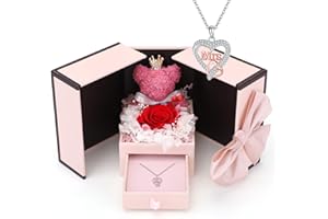 Konijiwa Teacher Gifts Preserved Real Rose Gifts for Teachers Eternal Flowers Rose with Necklace with Heart and Mrs Design Christmas Teacher Gifts for Women Thank You Teacher Gifts