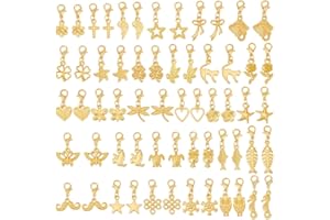 HOBBIESAY 60Pcs 30 Styles Clip on Charm Pendants 22.5-35.5mm S Dangle Charms with Lobster Clasp Mixed Styles Craft Charm for Jewelry Making