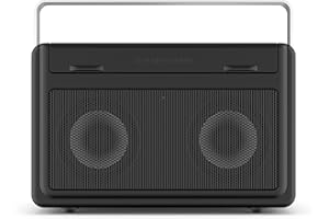 PerfectPro Radio de Chantier AUDISSE - Dab + Enceinte Bluetooth avec réception FM - Chargeur et Pile au Lithium Inclus - Résistante aux Chocs - Radio Portable avec Ports AUX et USB