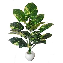 Buy BAARIG Real Touch Money Plant with 18 Leaves Heads Artificial ...