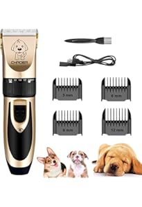 Carlino Cane Animale Domestico - Foto Gratis Su - Foto 6