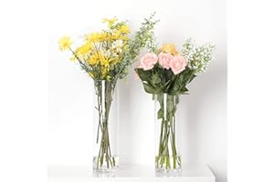 Toowood Glass Vase, Modern Creative Glass Vase, Living Room Flower Arrangement Hydroponic Flower Arrangement, Desktop Crafts Ornament (Clear, 1)