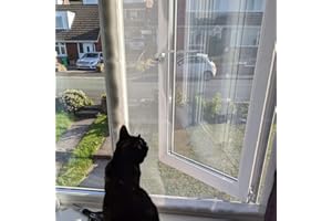 Flat Cats window screens - Single Pack - Selection of sizes (60cm x 100cm, White Mesh/White Fixings)