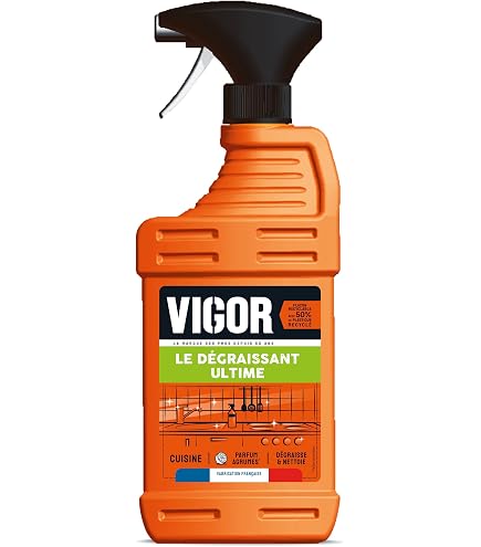 VIGOR Désincrustant Intense 1L Formule Alcaline Cristaux
