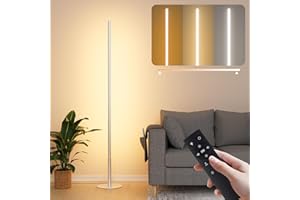 Fortand Lampadaire LED sur Pied Salon, Dimmable LED Lampe sur Pied avec Télécommande Réglables Continu Luminosité & Couleurs 2700K-6500K, Lampadaire D'Angle Moderne Lampe Lecture pour Chambre, 147CM