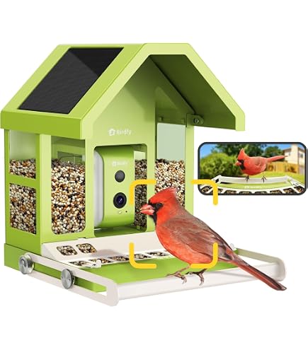 3T6B Intelligentes Vogelfutterhaus Mit Kamera | 1080P Full HD & Nachtsicht | AI Erkennt 11.000 Vogelarten | Mit Solarladung & Zweiweg-Sprechfunktion