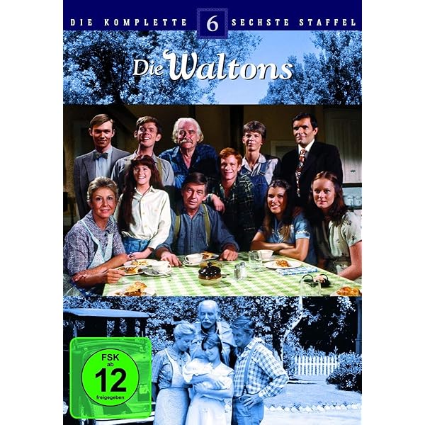 その他 Waltons: The Complete Sixth Season [DVD] [Import] Waltons: The Complete Sixth Season [DVD] [Region 1] [US