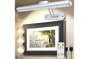 MIOBLUE immagine senza fili con il telecomando, la luce dell'esposizione di arte della batteria Ricaricabile con il telecomando, Dimmerabile/temporizzatore fuori luce della pittura, 3 Modalità di