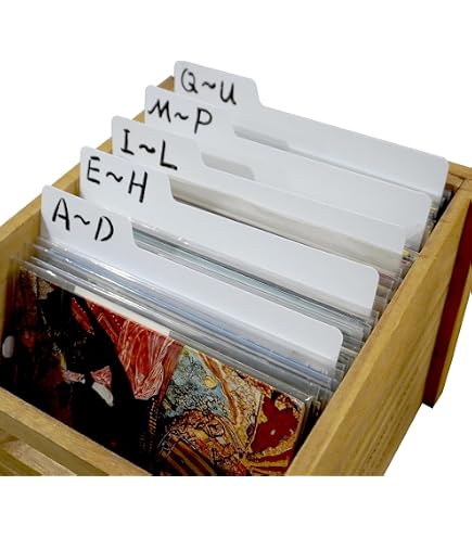 Intercalaire Vinyle Tri Classement Rangement disques