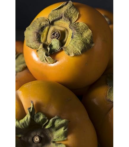 Albero Di Cachi (Kaki) Vaniglia - Pianta Da Frutto Vera, Età 2 Anni, Vaso 20 Cm, Altezza 140 Cm, Perfetta Per Giardino