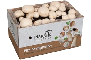 Hawlik Pilzbrut - El original – Juego de cultivo de setas champiñones blanco – Cultura para cultivar portobello uno mismo – recoge setas frescas - pequeño cultivo setas
