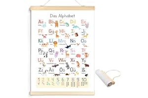 afhgdjr Abc Poster FüR Kinder 30x40 Cm,Alphabet Poster,Buchstaben Lernen,Einschulung,Letterboard FüR Kinderzimmer, Grundschule Mit dem Aufhängeseil kann sie überall an der Wand aufgehängt werden.