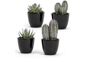 Set med 4 glänsande vita keramiska krukor | Storlek 7 x 6 cm | Perfekt för suckulenter, bonsai, blommor, moderna dekorativa k