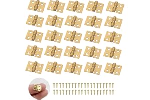 XNJIHWA 50 Stück klappbare Mini-Scharniere, Scharniere mit 200 Schrauben für kleiner Modellbau