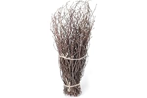 SOUJOY 100 PCS Birch Twigs for Vase, 40cm Natural Dried Birch Branches, Craft Decoration Birch Stick for DIY, Centerpieces, Home, Office, Wedding Arrangement