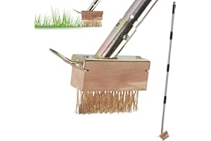 PIMEKOY Weed Moss Remover Patio Brush with Long Handle, Block Paving Brush Weeding Tool, Wire Grout Cleaner Crack Weeder for Driveway Path Paver Decks