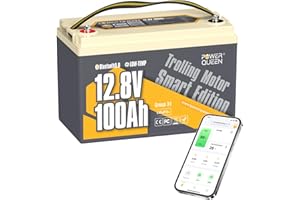 Power Queen 12 V 100 Ah Bluetooth Batteria LiFePO4 con 100 A BMS, bassa autoscarica, Low-Temp Auto Cut Off App Control Batteria al litio per sistema solare domestico, Campeggio, Caravan, Barca