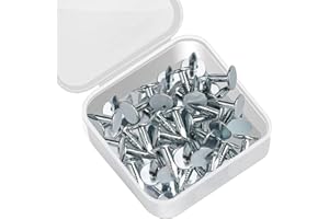 PROFIWOAB Lot de 100 clous de toiture en feutre pour abris de jardin en bois