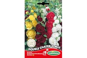 Germisem Graines Rose trémière double variée Double Chater´S Mix EC1500 Multicolore