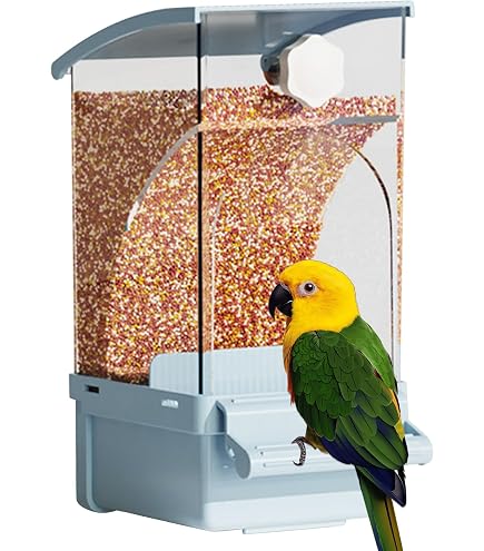 Mangeoire Anti-Bouchage Pour Perruches - Bol Large Fixation Cage - Distribution Précise Nourriture