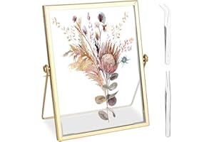 RONMOSNEA Szklana metalowa ramka na zdjęcia, 15 x 20 cm, retro, złota ramka na zdjęcia, do domu i biura, na próbkę roślin, suszone kwiaty