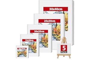 HISDRICUS Toile Peinture, Lot de 5 Toile a Peindre 100% Coton, Toiles 30x40, 25x30, 20x25, 15x20, 10x10 cm, Tableau Peinture pour Artistes Amateurs de Peinture à L'huile et Acrylique, Débutants