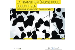 La transition énergétique : Objectif ZEN