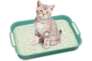 POWMAG Bac Litiere Lapin, Bac à litière pour Chat ou Lapin, Litière La-pin pour Petits Animaux, Cochons d'Inde (Grand (Vert))