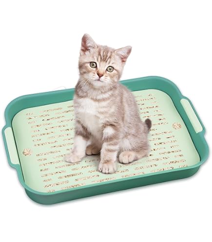 Katzentoilette Aus Edelstahl – 10,2 Cm Hoch, Antihaftbeschichtet, Mit Streuschaufel