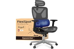 FLEXISPOT ErgoX - Sedia da ufficio ergonomica in rete, girevole, regolabile in altezza, poggiatesta, braccioli e supporto lombare indipendente, sedia da ufficio (grigio scuro)