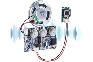 DONGKER Módulo de Sonido Grabable de 17 Minutos, Reproductor de Música Con Altavoz, Grabación de Voz y Teléfono MIC para PC, Caja de Música, Tarjeta