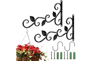 LAMEK 2pièces Crochet de Suspension pour Plantes Crochet de Suspension Mural Panier Suspendu Plante Support Plante Mural Balcon avec Vis S-crochet pour Extérieur Intérieur Pot de Fleur Jardin Lanterne