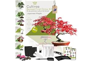 CULTIVEA Kit First Bonsai – Autocultivo de Bonsáis con Semillas y Herramientas – Fácil y Completo | Idea de Regalo (Japanese Maple)