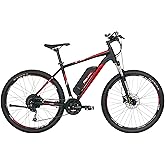 FISCHER E-Mountainbike MONTIS EM 1726, Elektrofahrrad für Damen und Herren, RH 48 cm, Heckmotor 45 Nm, 48 V Akku