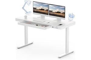 FLEXISPOT Comhar EW8W Electric Standing Desk Home Office Electric Height Adjustable Standing Desk Sit Stand Desk with 120 * 60cm White Wood Top (White Frame+White Wood Top)