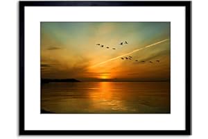 Wee Blue Coo 9x7 '' GEESE BIRD FORMATION SUNSET LAKE FRAMED ART PRINT PICTURE PHOTO F97X366
