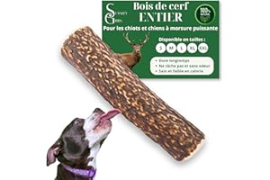 STANLEY GIBBS Bois de cerf pour Chien a Macher Entier (1 pièce). Friandise pour Chiots et Chiens de Tout âges. Jouet Occupation. Jouet de Mastication. Soins Dentaire idéal (L)
