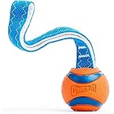Chuckit! Ultra Tug K&ouml;pek &Ccedil;ekiştirmeli Oyun Topu (Small) - Dayanıklı Halatlı Doğal Kau&ccedil;uk, Y&uuml;ksek Sı&ccedil;rama G&uuml;c&uuml;, K&uuml;&ccedil;&uuml;k Boy K&ouml;pe