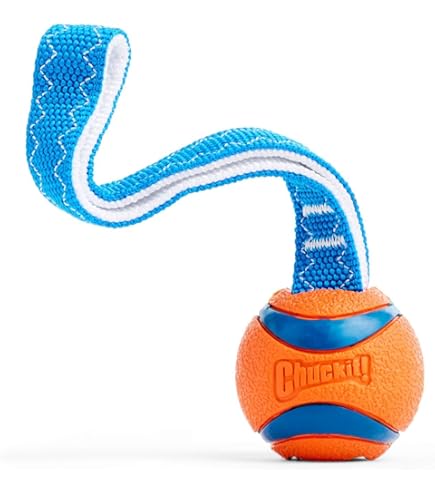 Giocattolo Dispensatore Per Cani EARTH RATED - In Gomma Naturale, Lavabile E Congelabile | Piccolo, Verde - Foto 11