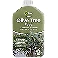 Vitax Olive Tree Liquid Feed, Suitable For Trees In Borders, Pots & Containers, Promotes Healthy Growth: 1 Litre (Makes 250 Litres)