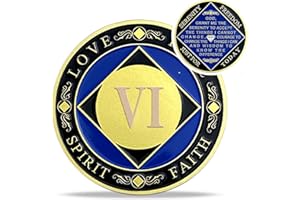 IELCJJ 6 Year NA Medallions - Recovery Narcotics Anonymous Coins - Anniversary Ha Sobriety Chip Token - Addiction Sobriety Gifts for Men Women