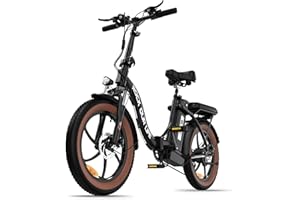 RCB Elektrisches Erwachsenenfahrrad Zusammenklappbar Maximal 90km (Umweltauswirkungen) 36V 12ah Herausnehmbare Batterie, vordere Aufhängung 20" E-Bike 7-Gang